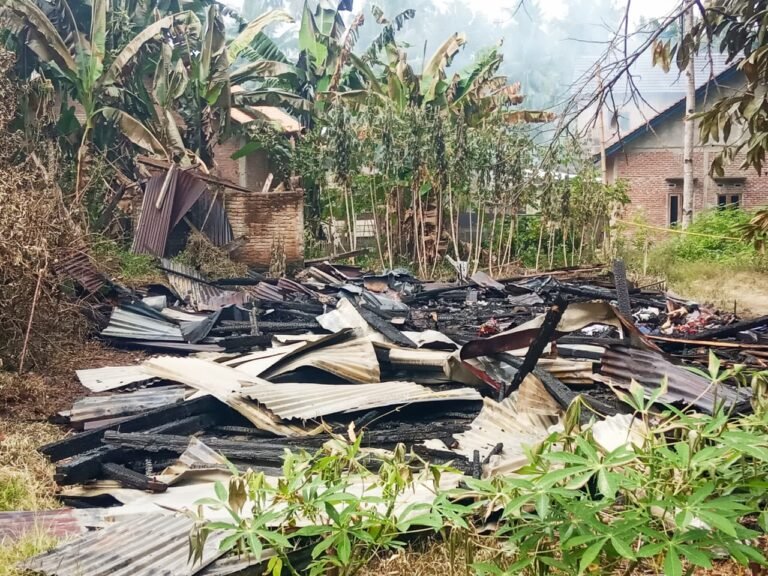 WhatsApp Image 2025-10-06 at 14.48.26